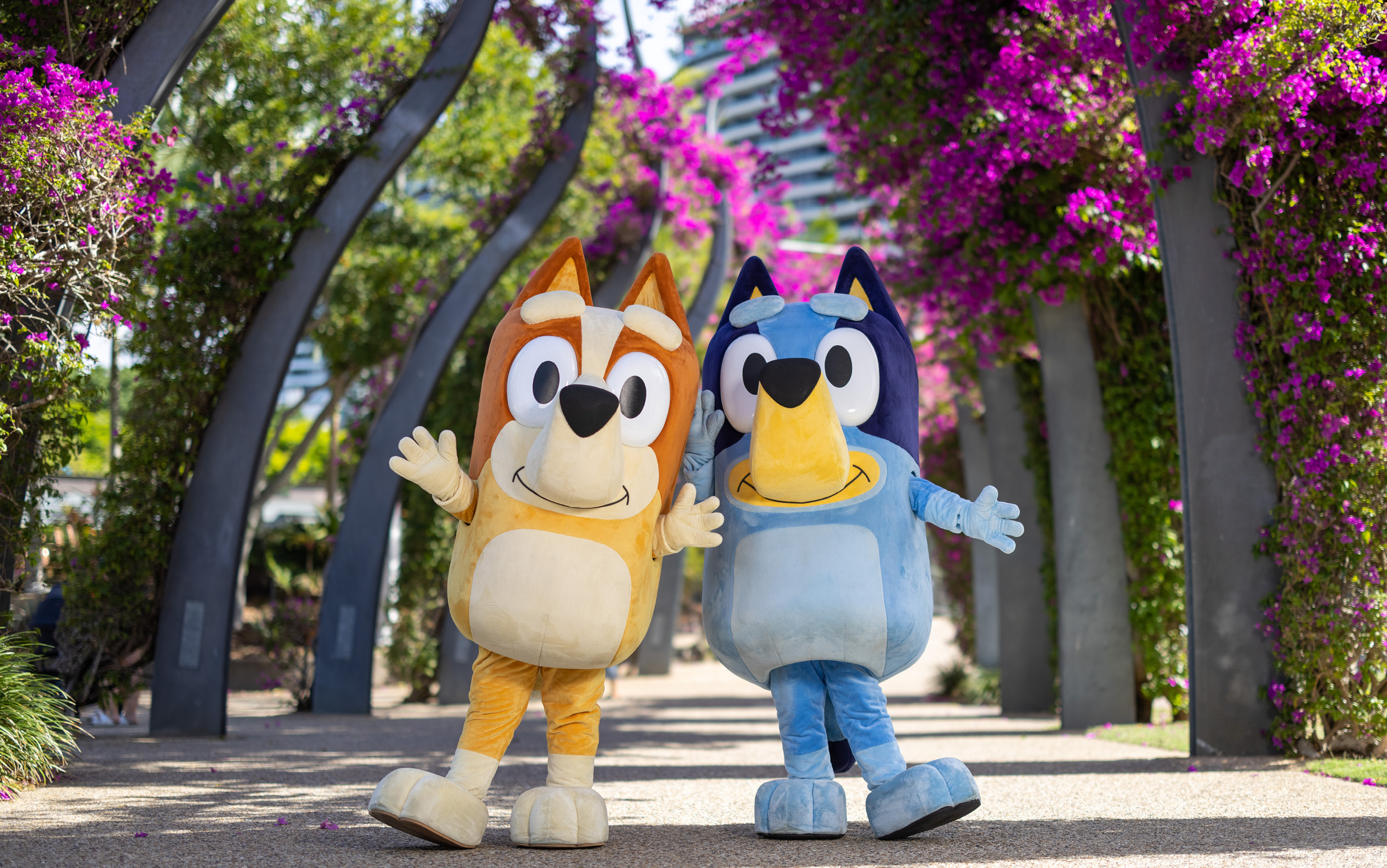 Bluey's World - Brisbane, Northshore Pavilion