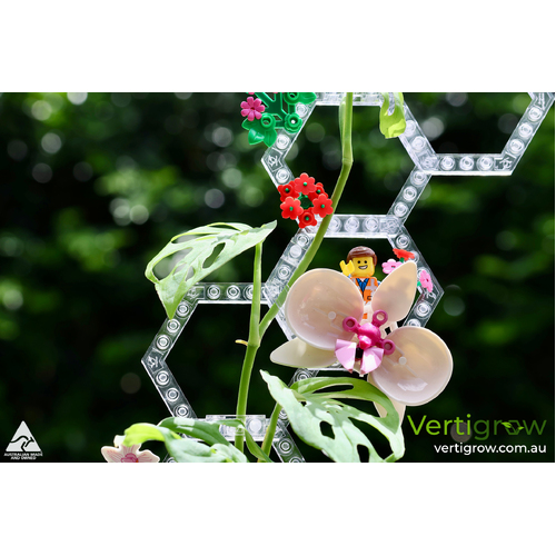 Vertigrow Plant Trellis - Clear